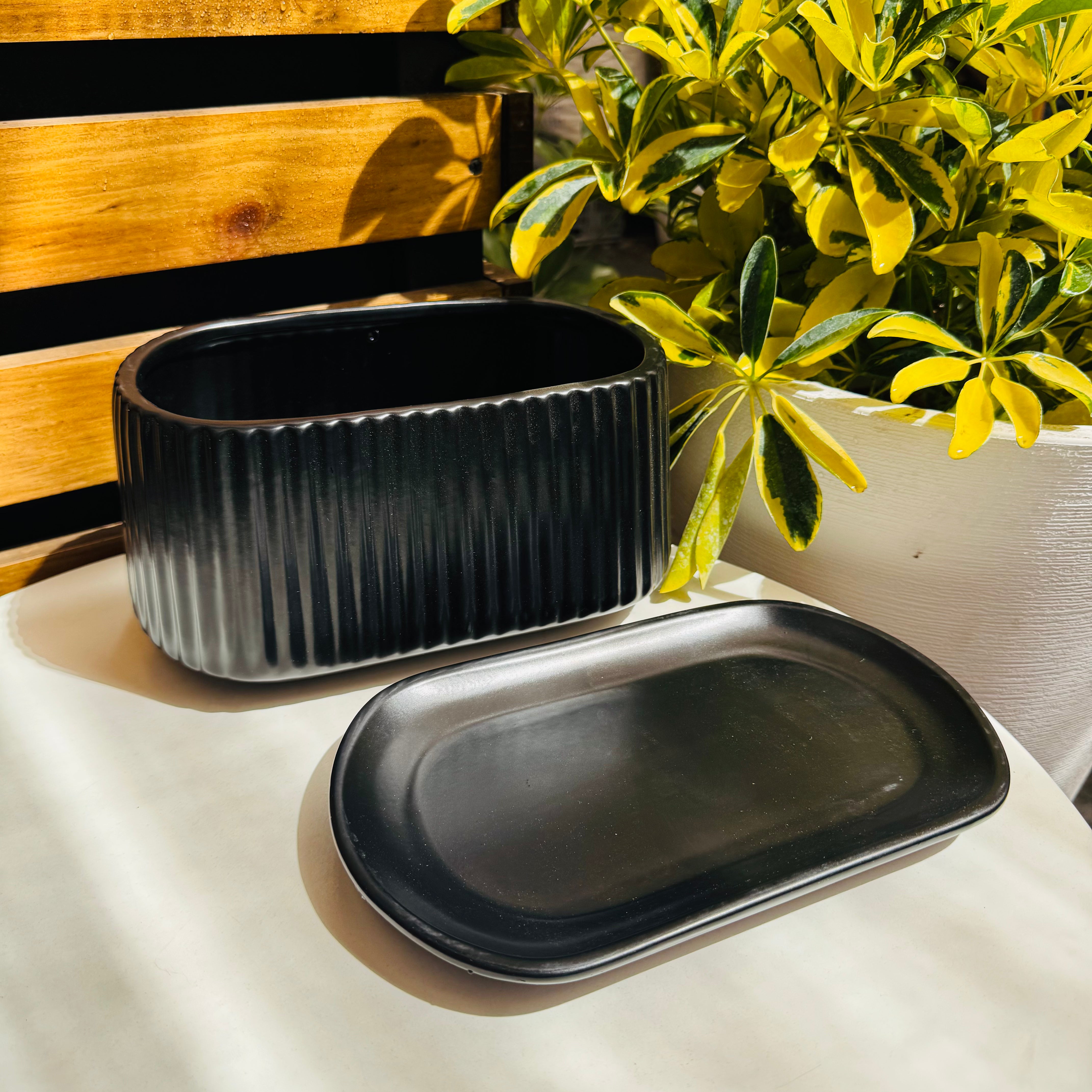 Vivero Mis Tesoros C Gloria