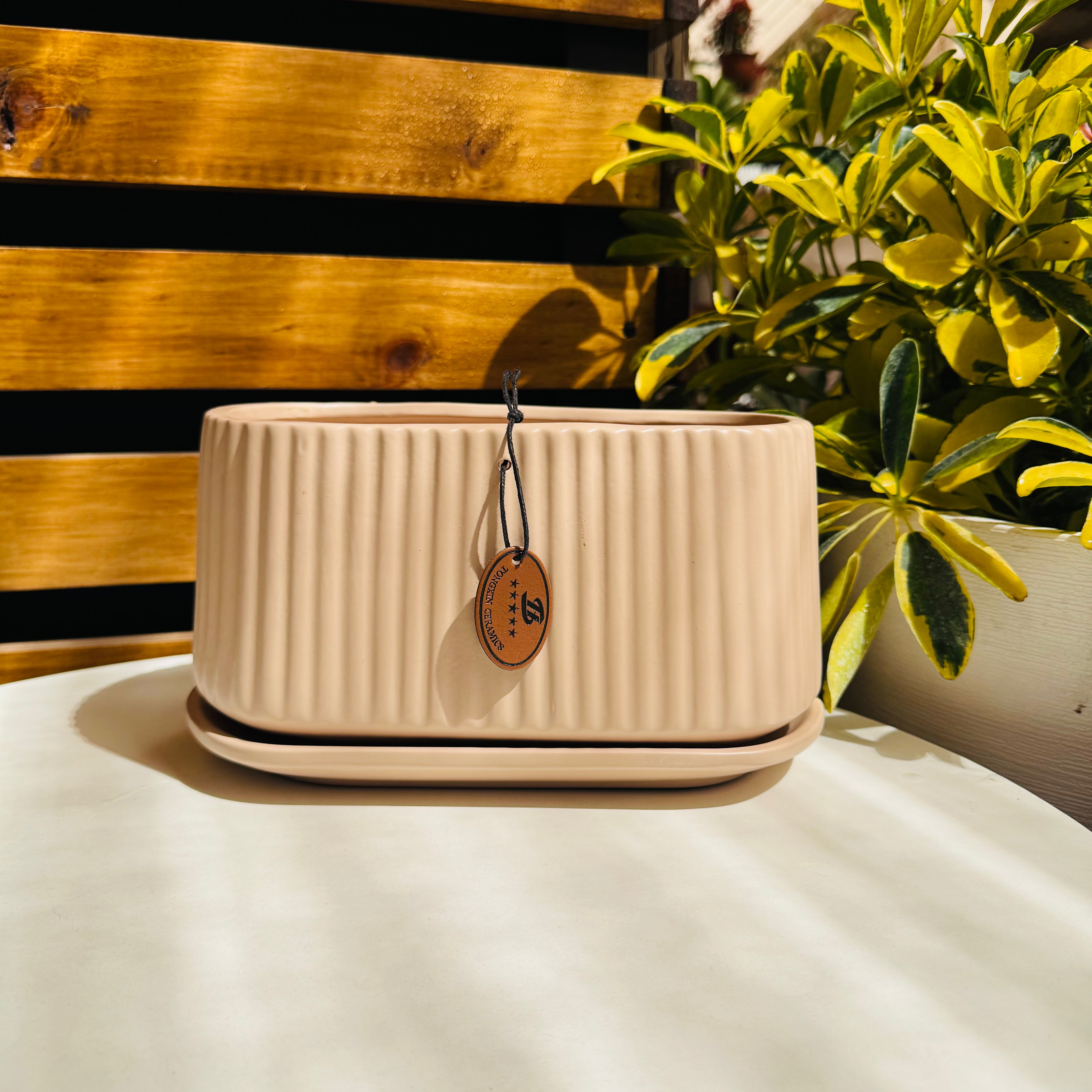 Vivero Mis Tesoros C Gloria