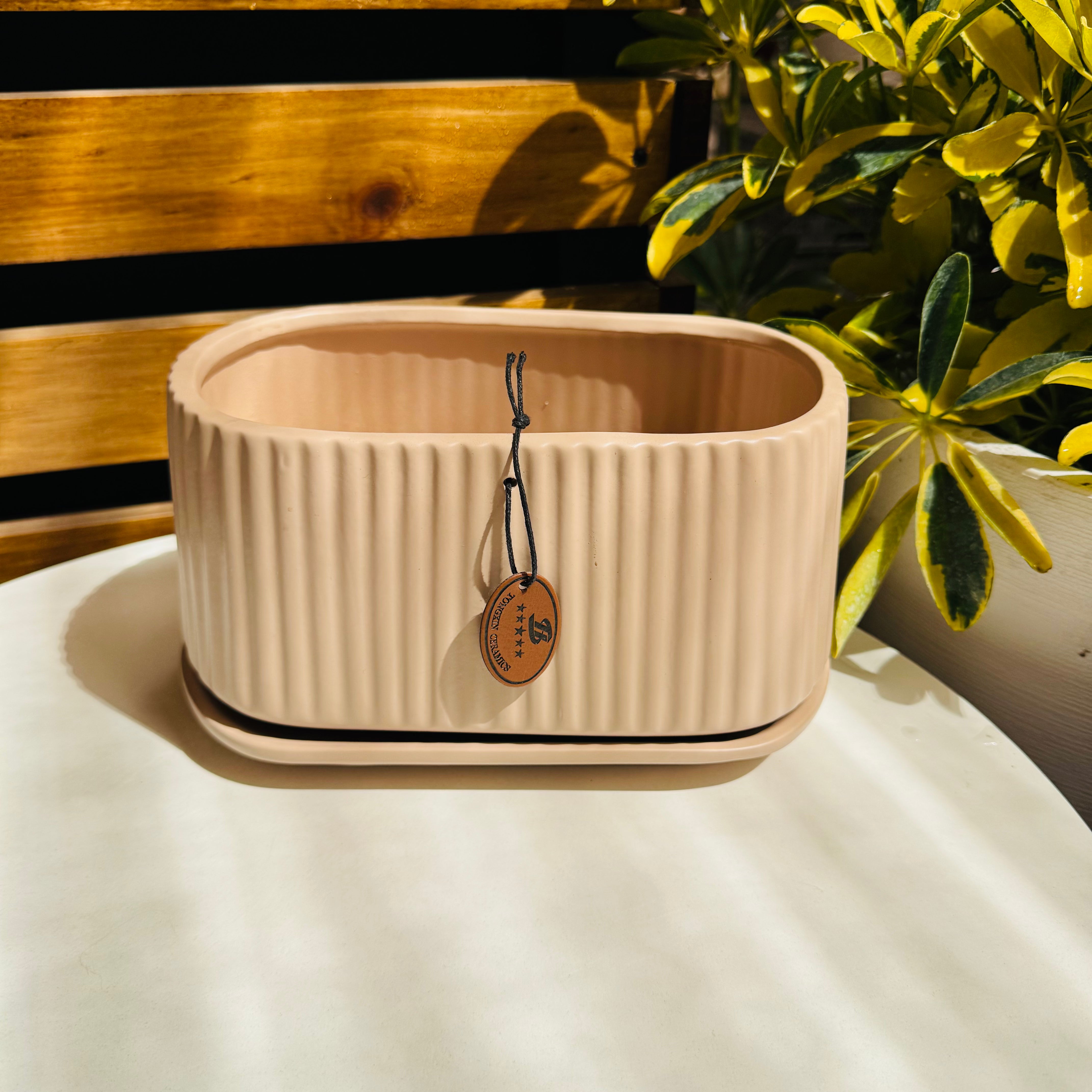 Vivero Mis Tesoros C Gloria