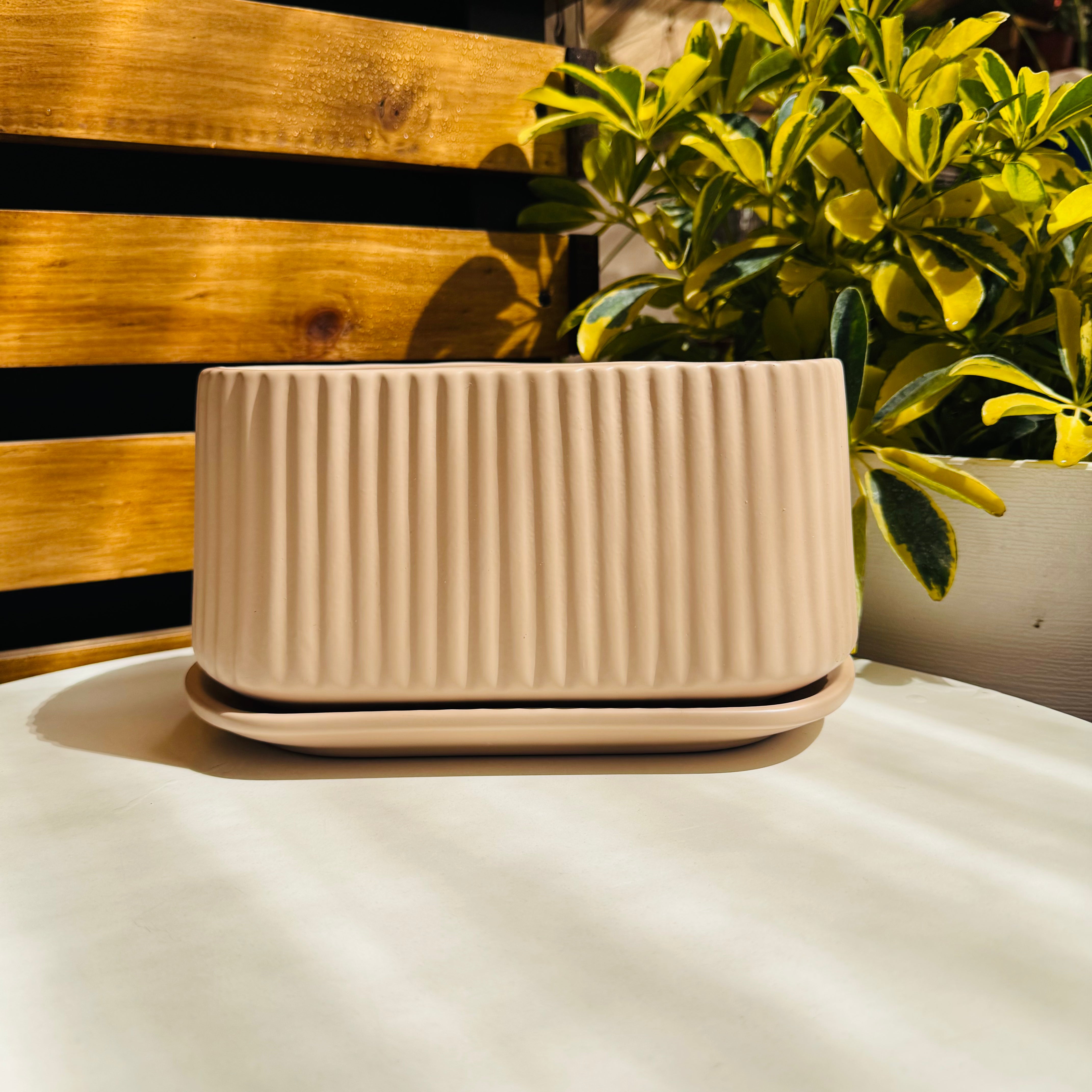 Vivero Mis Tesoros C Gloria