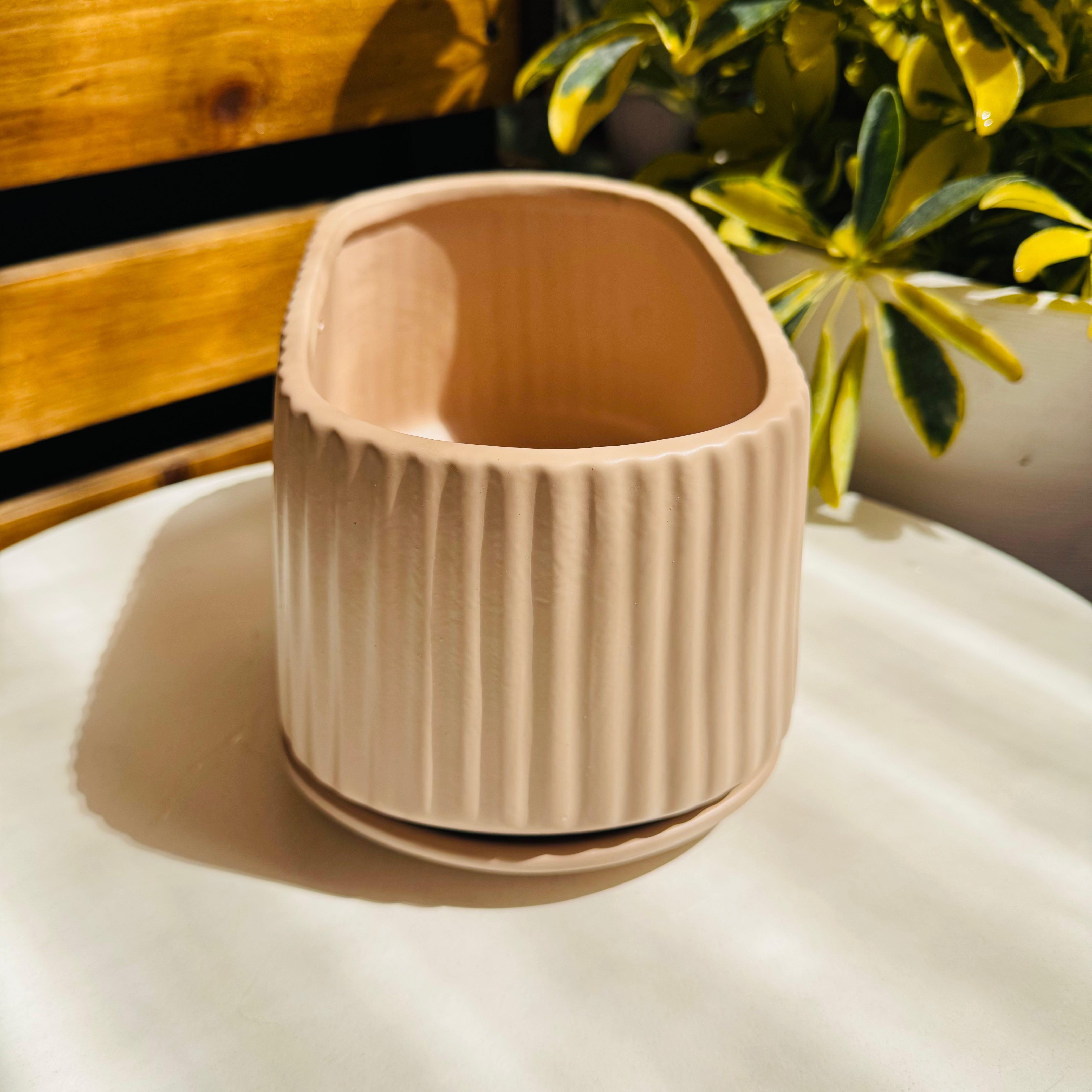 Vivero Mis Tesoros C Gloria