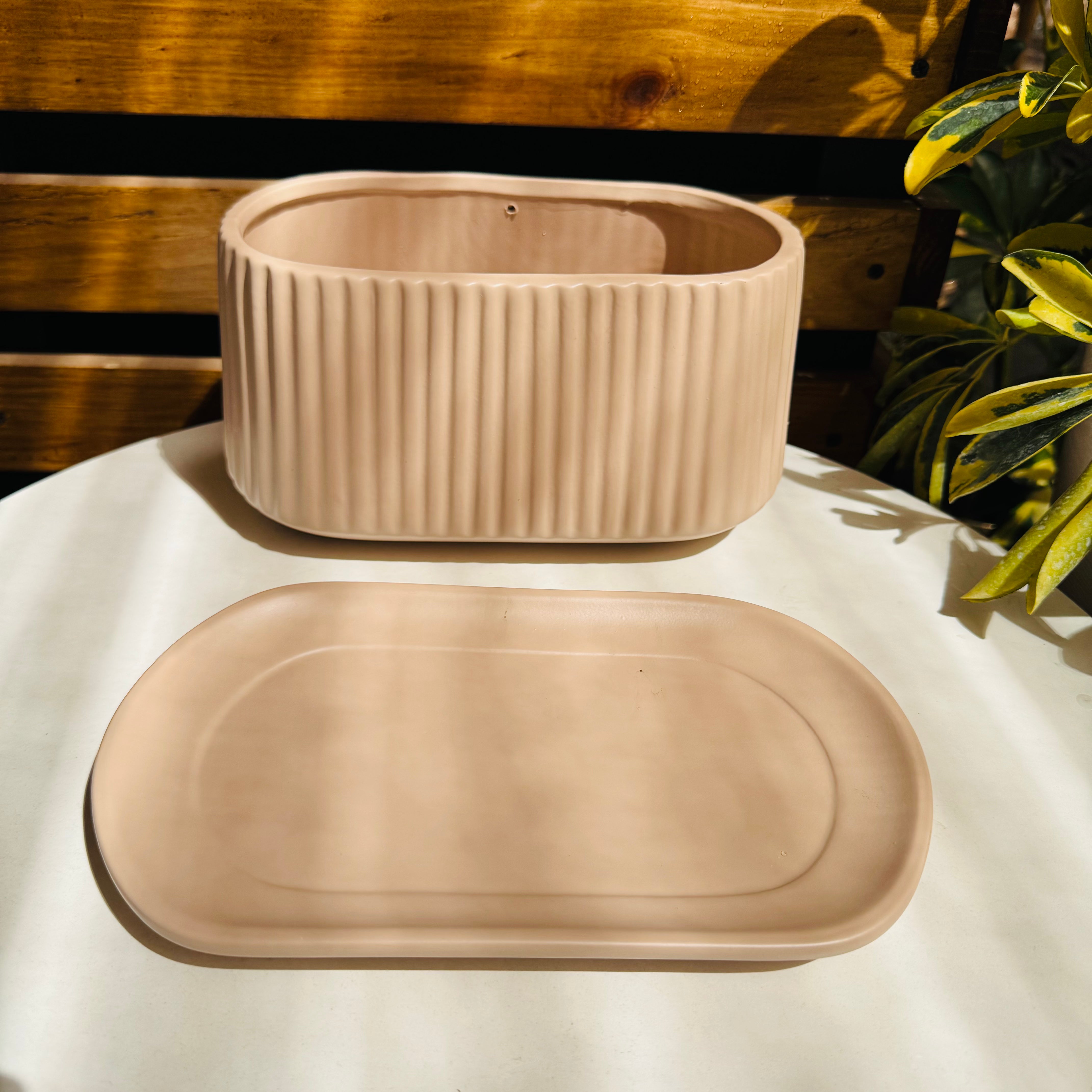 Vivero Mis Tesoros C Gloria