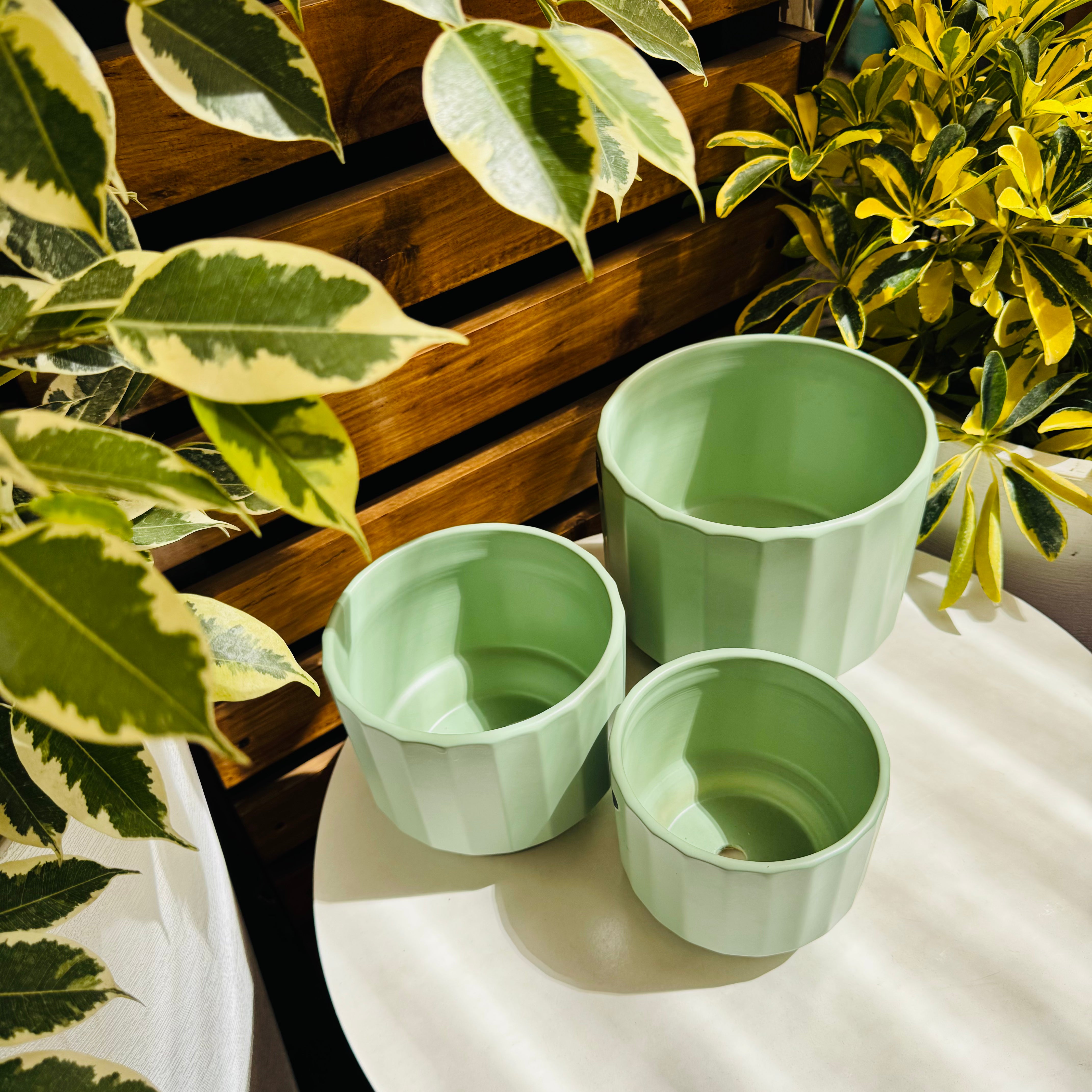 Maceta cerámica Imperio - Esmeralda