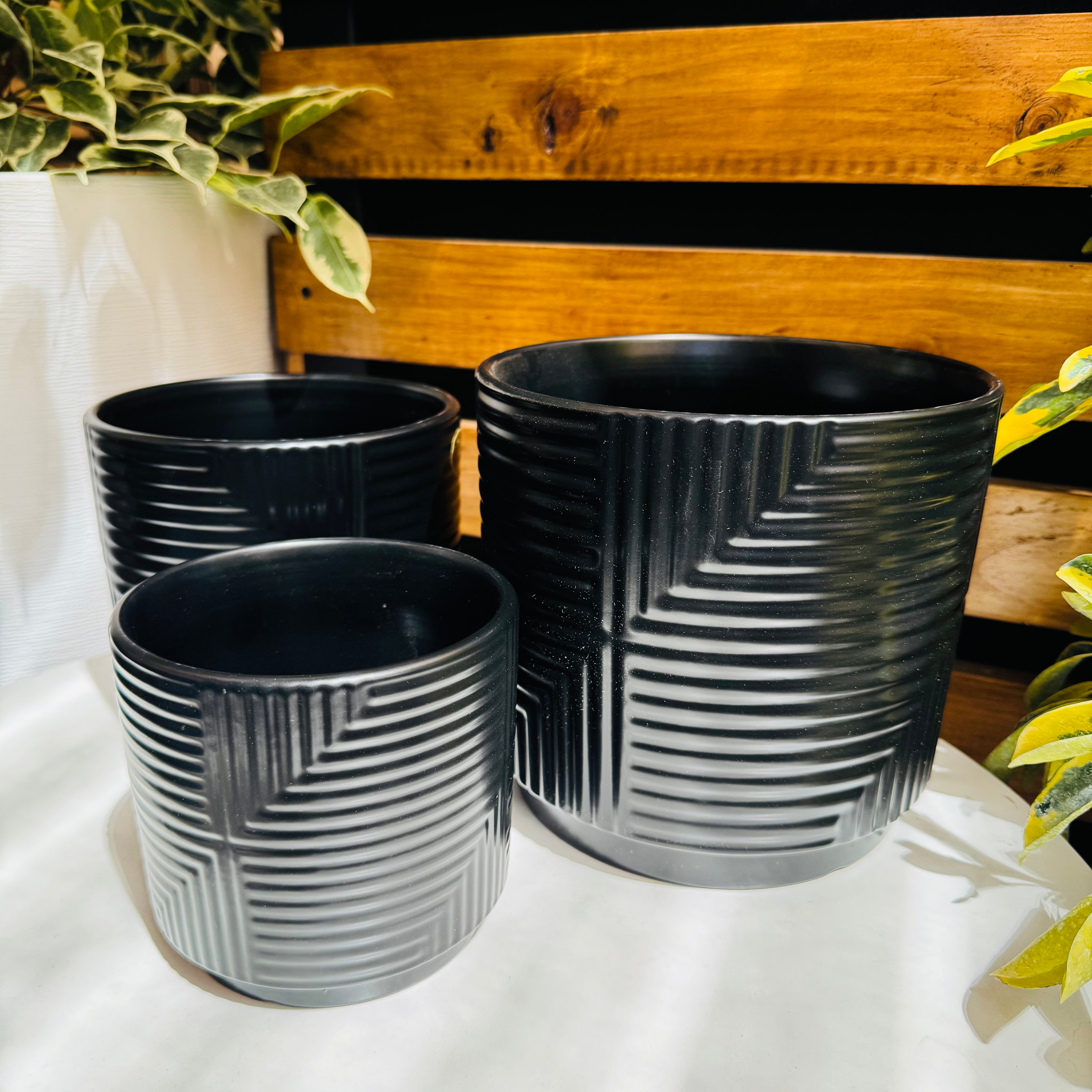 Vivero Mis Tesoros C Gloria