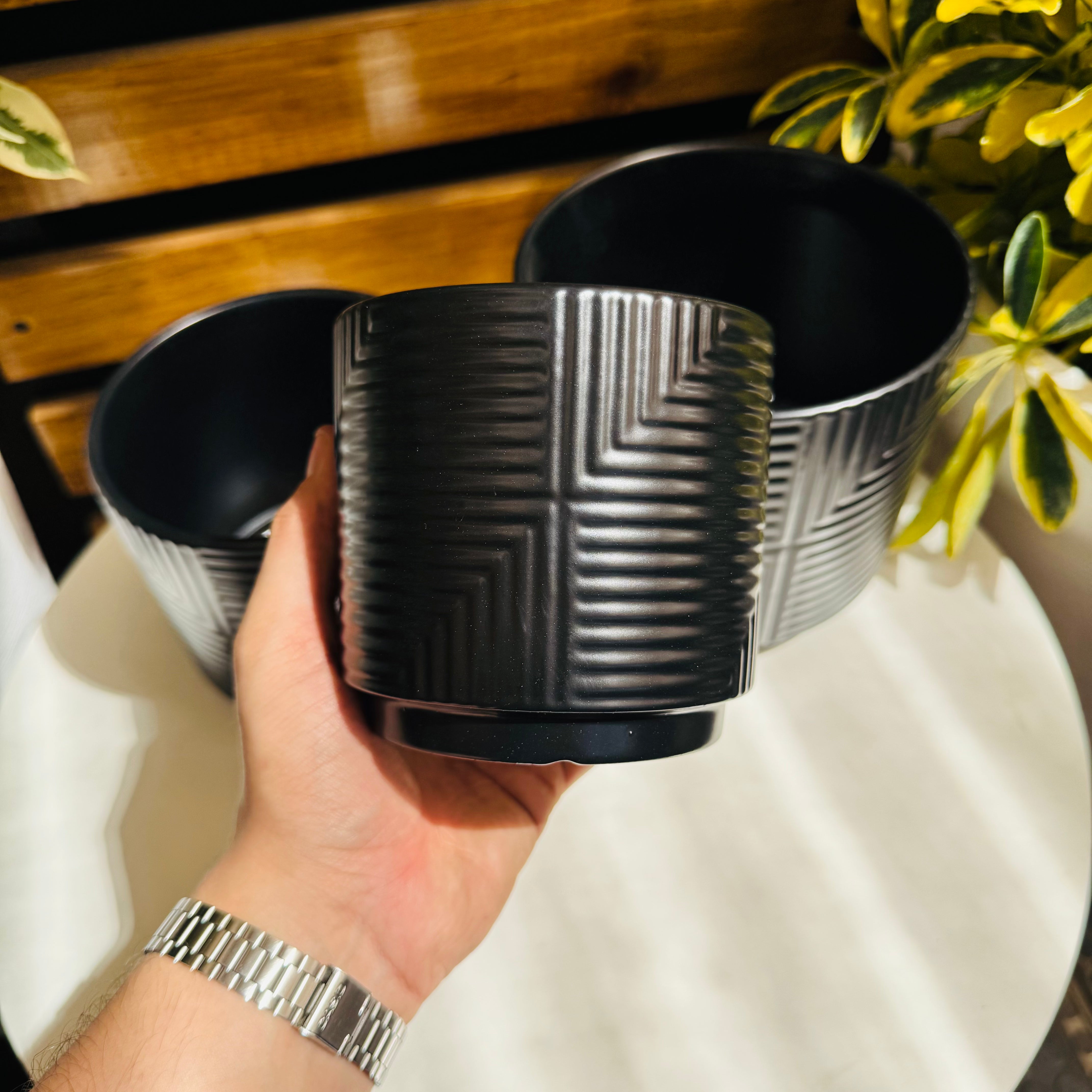 Vivero Mis Tesoros C Gloria