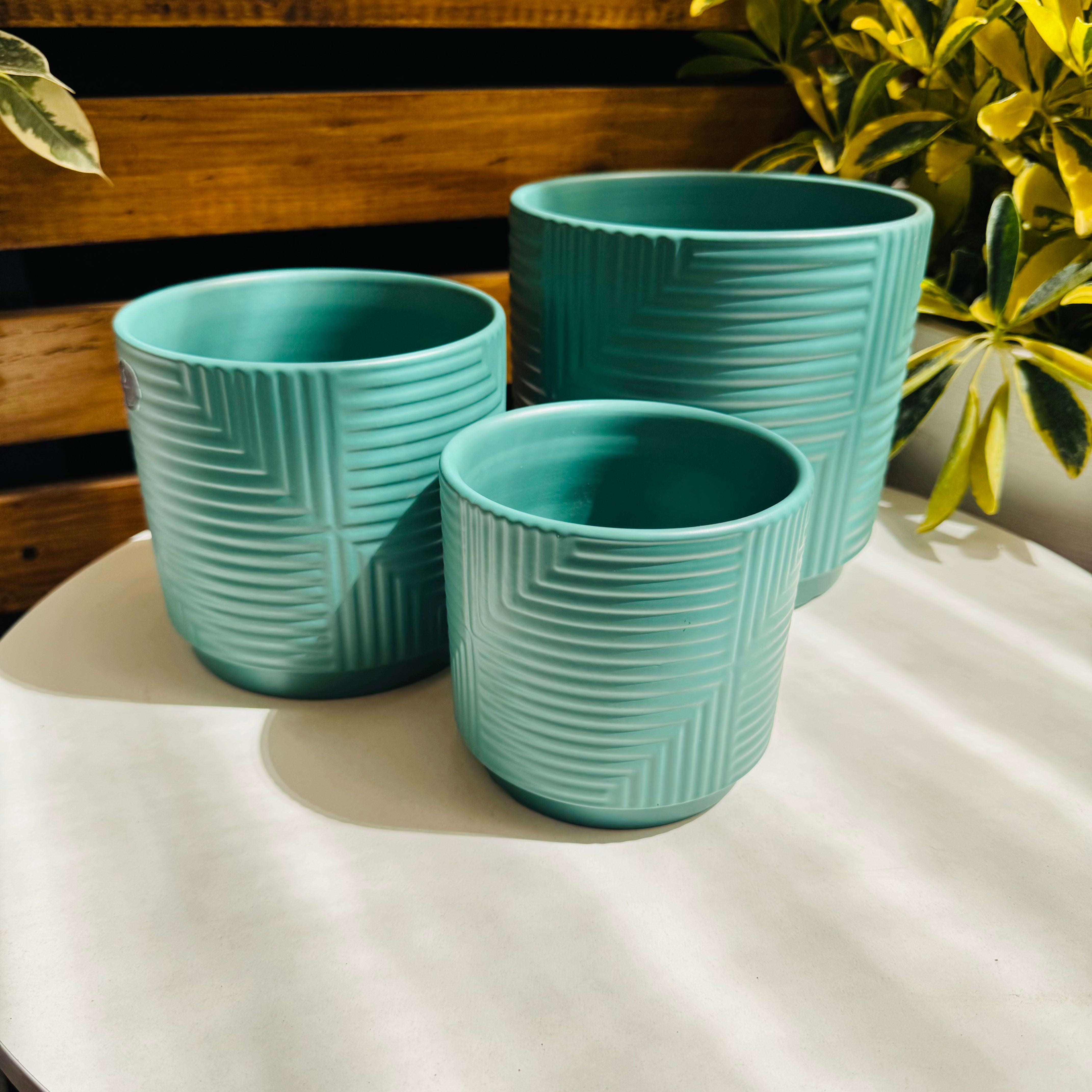 Vivero Mis Tesoros C Gloria