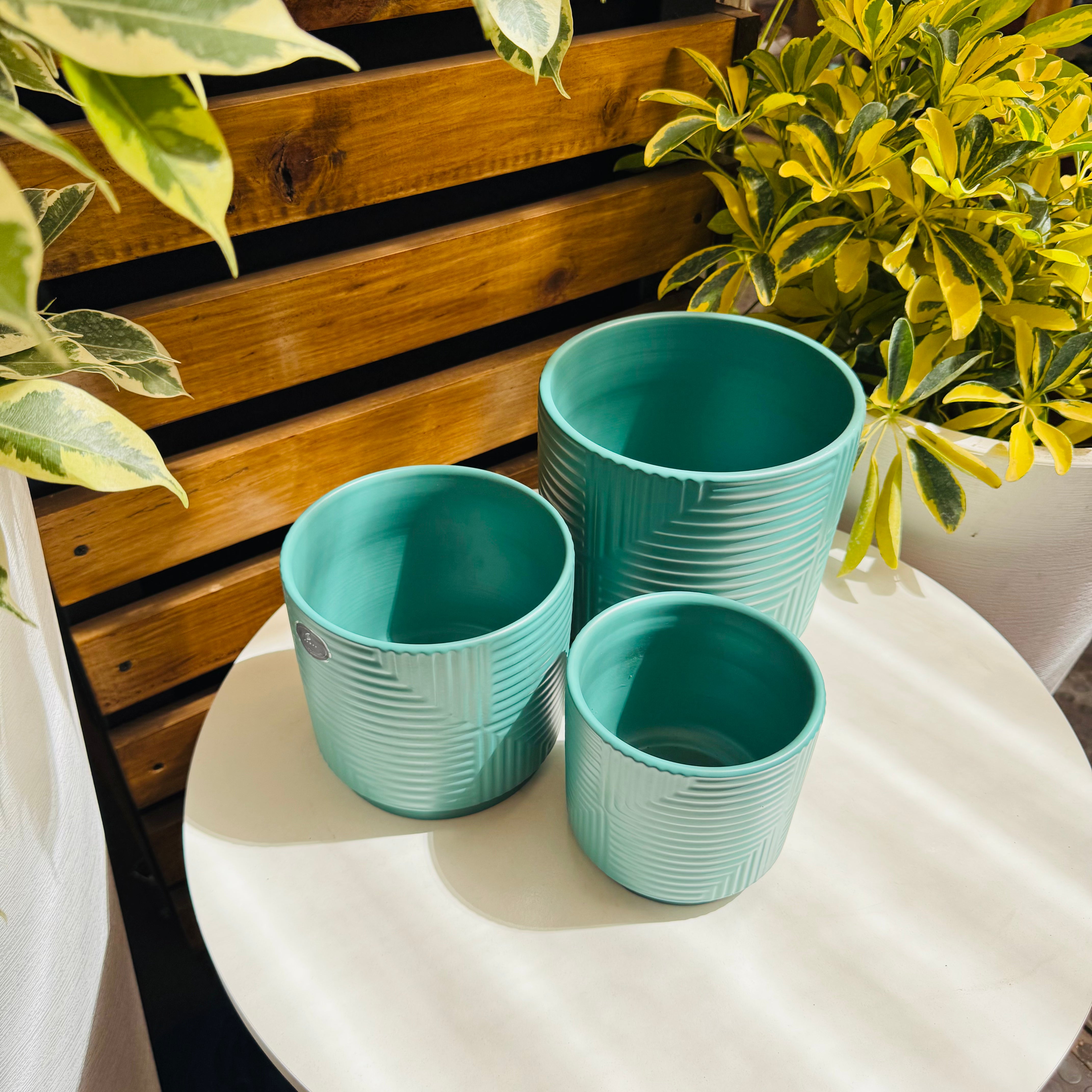 Vivero Mis Tesoros C Gloria