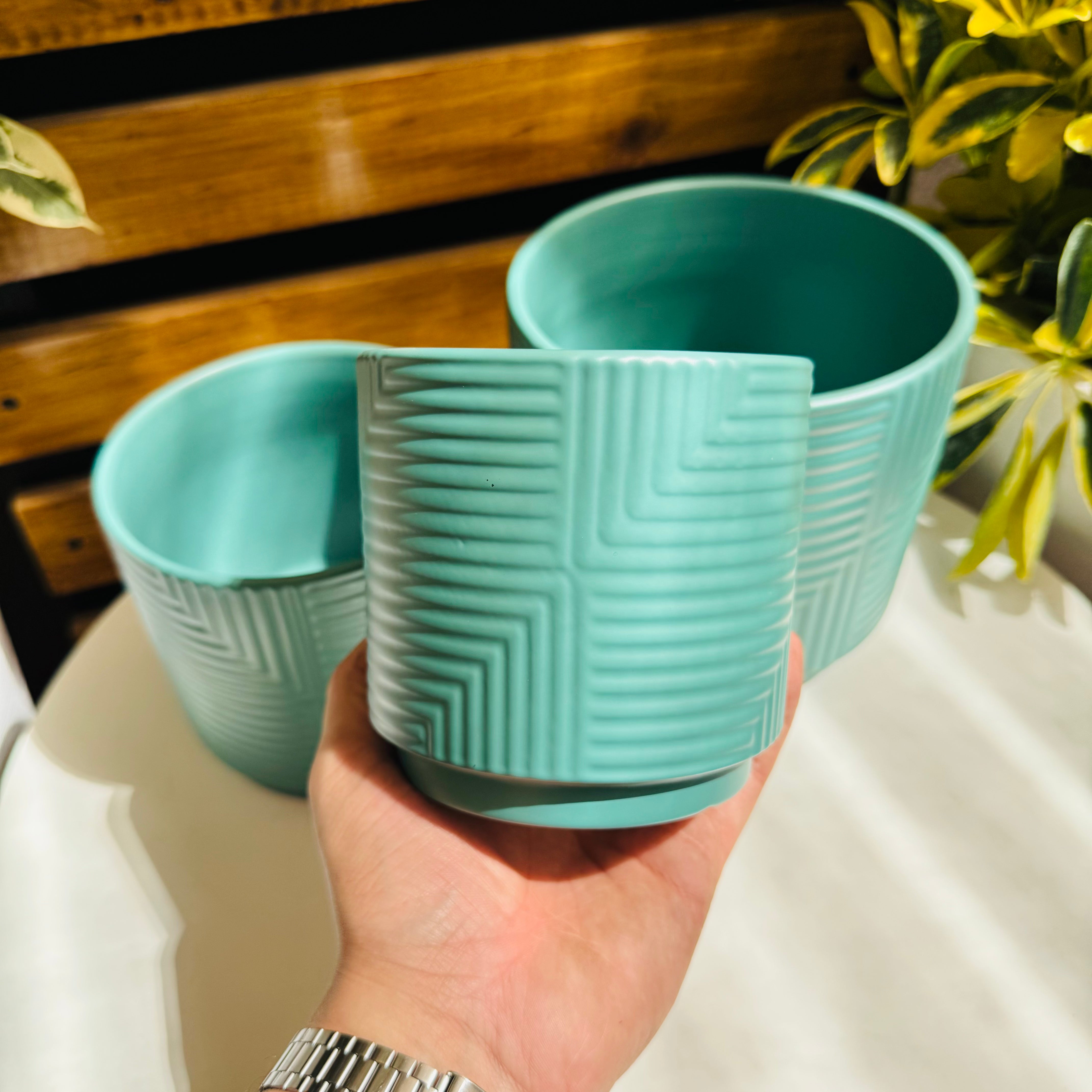 Vivero Mis Tesoros C Gloria