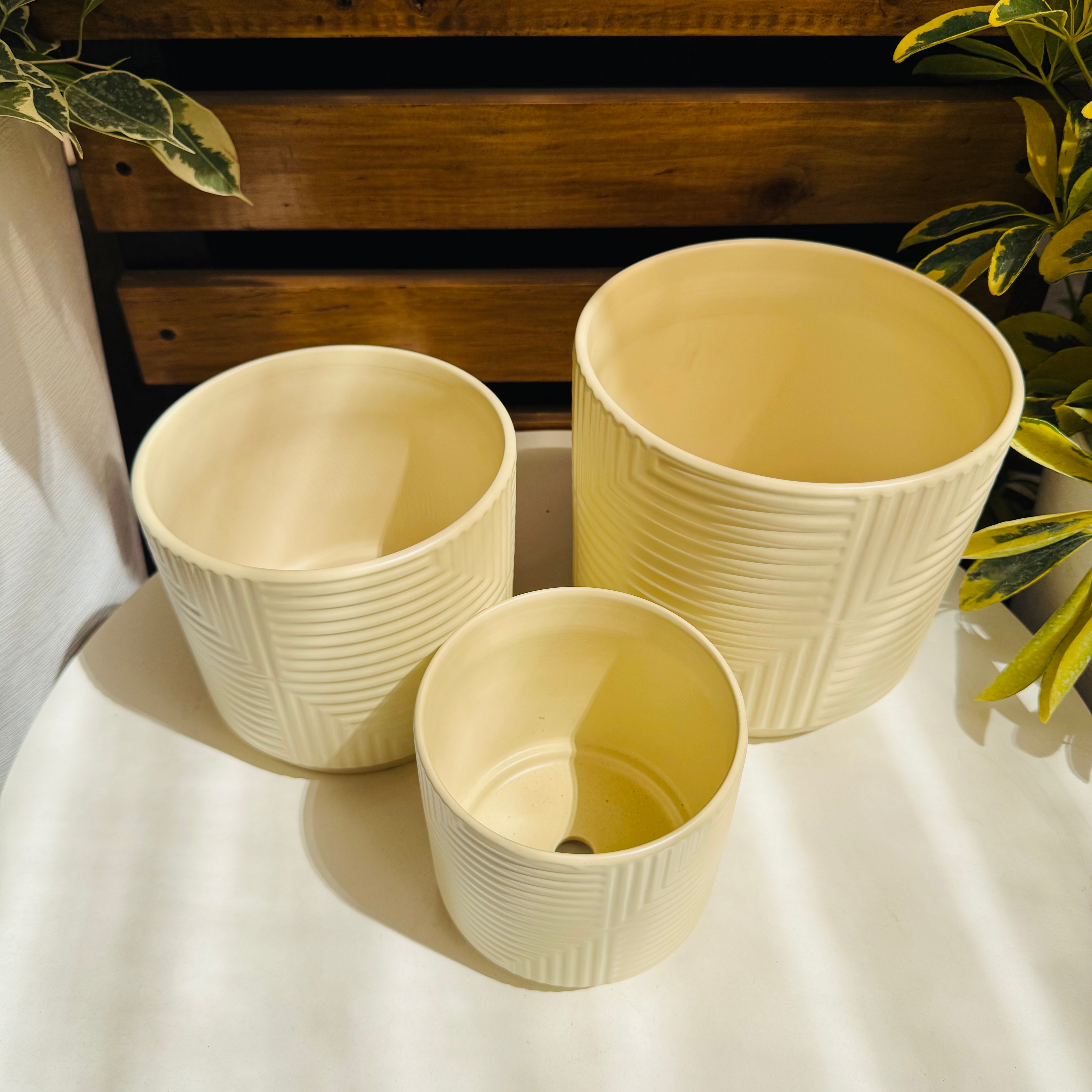 Vivero Mis Tesoros C Gloria