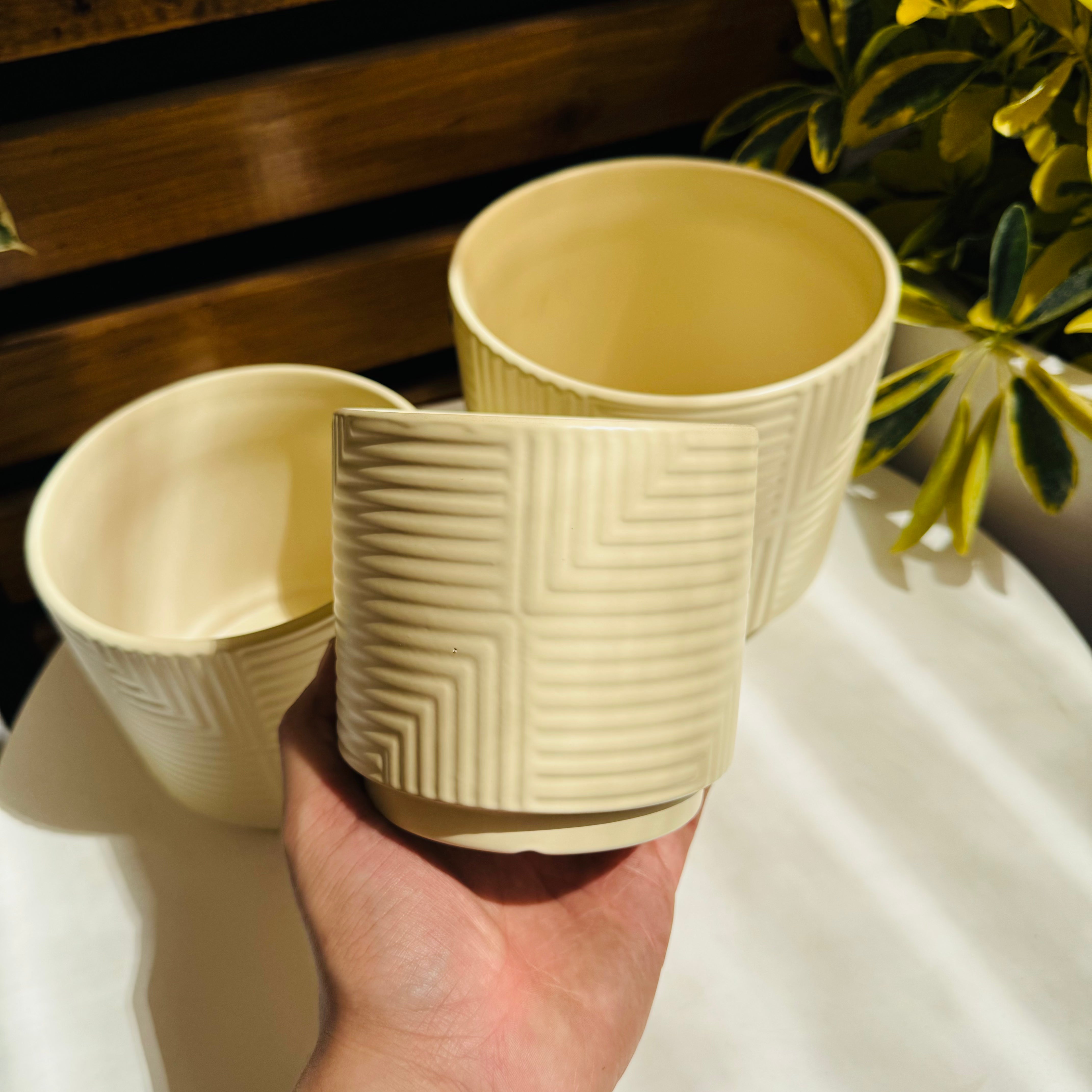 Vivero Mis Tesoros C Gloria