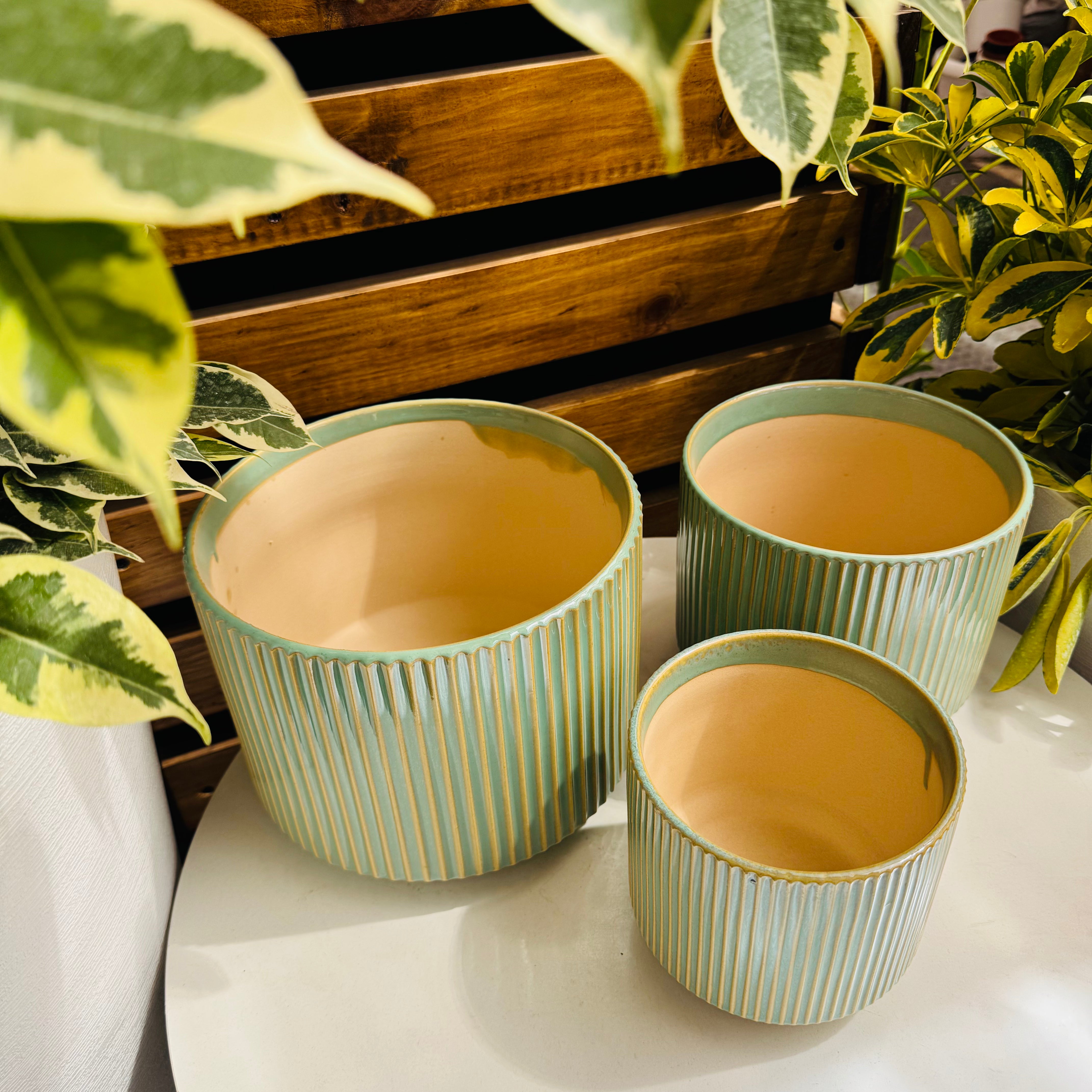 Macetas cerámica Imperio - Green