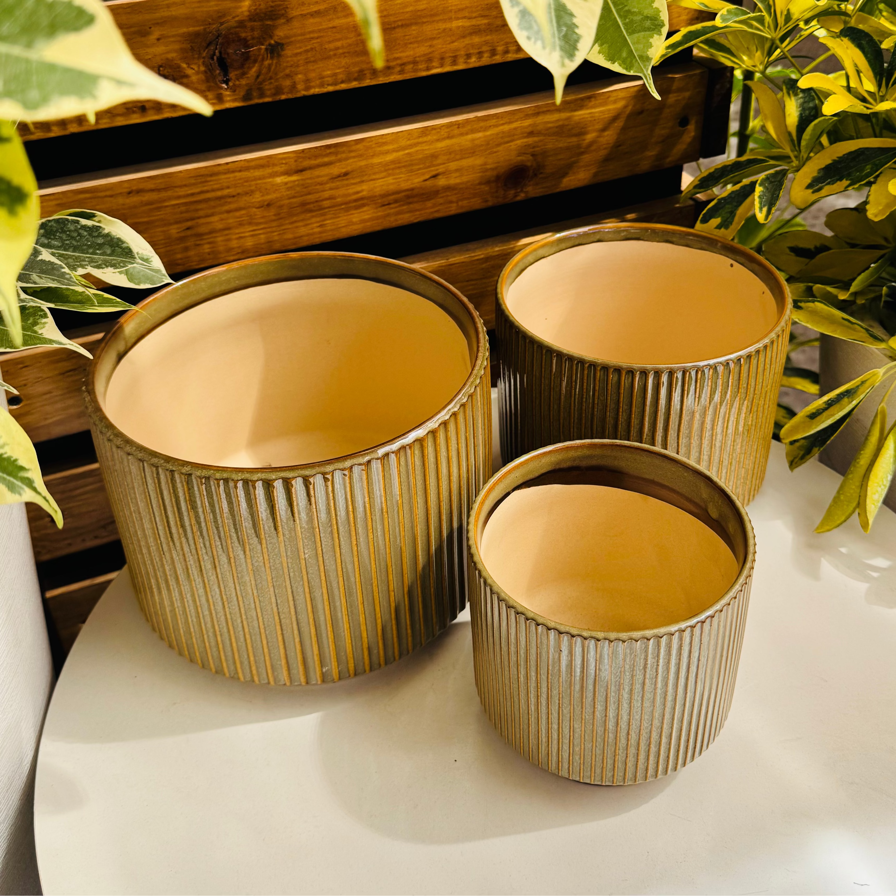 Maceta cerámica Imperio - Brown