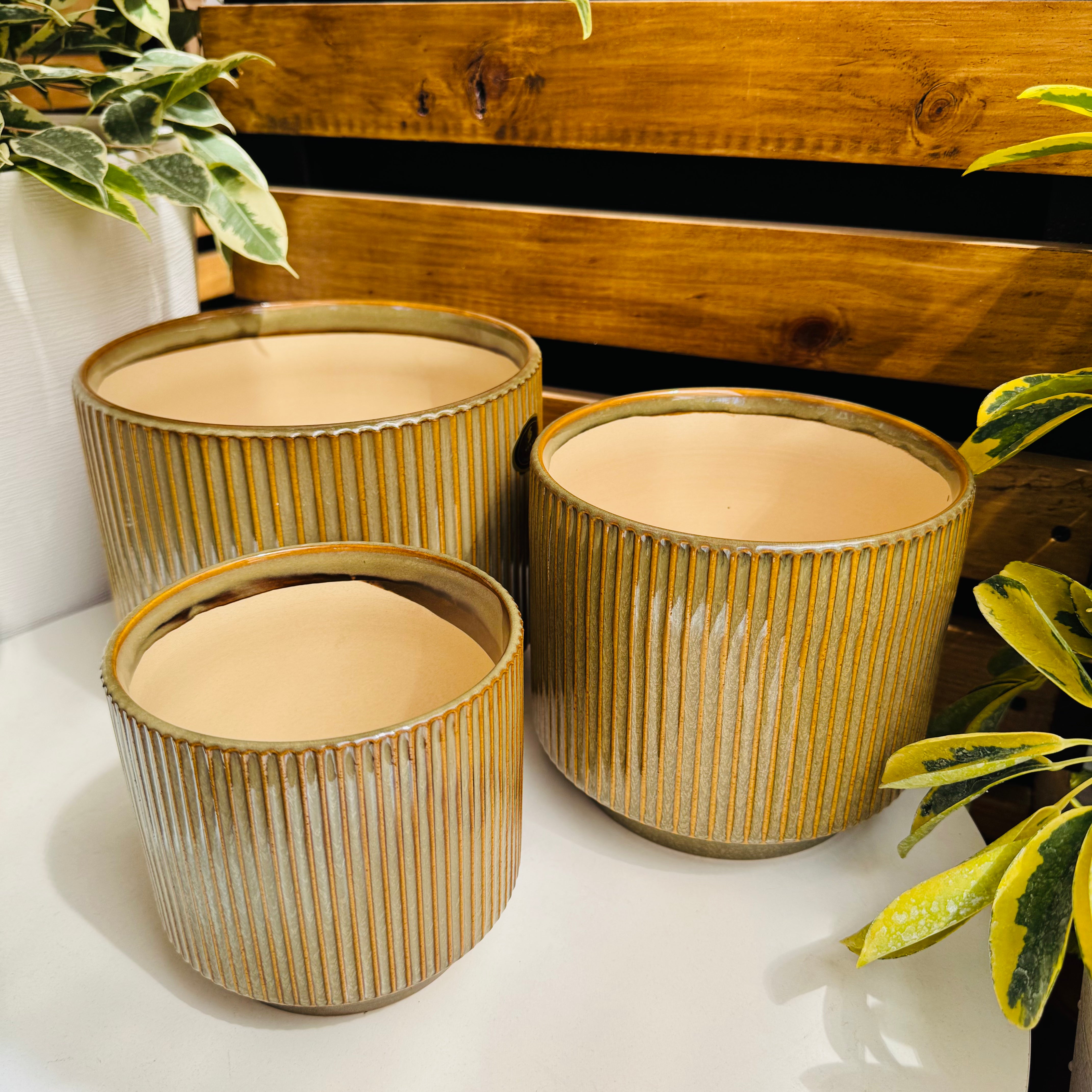 Vivero Mis Tesoros C Gloria