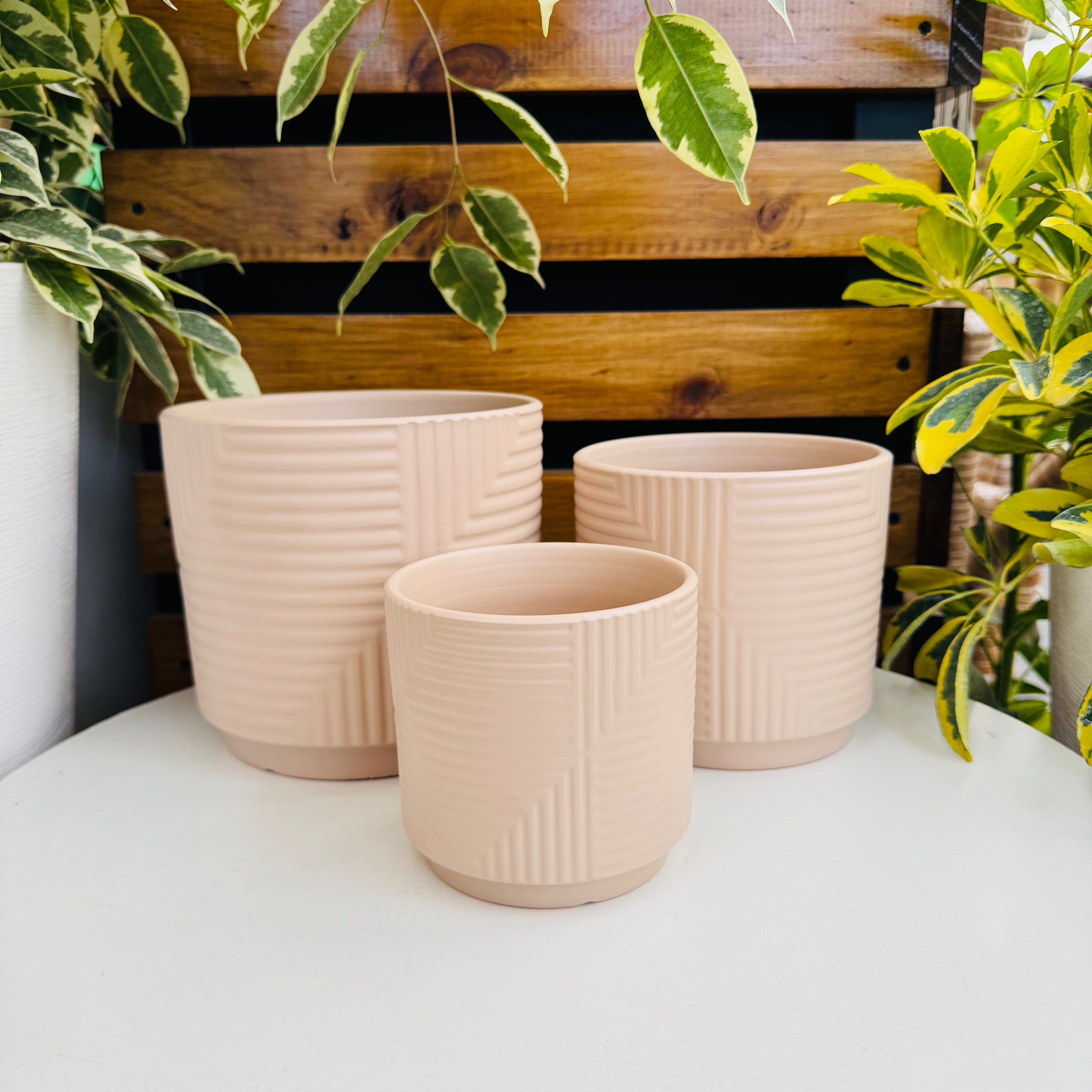 Vivero Mis Tesoros C Gloria