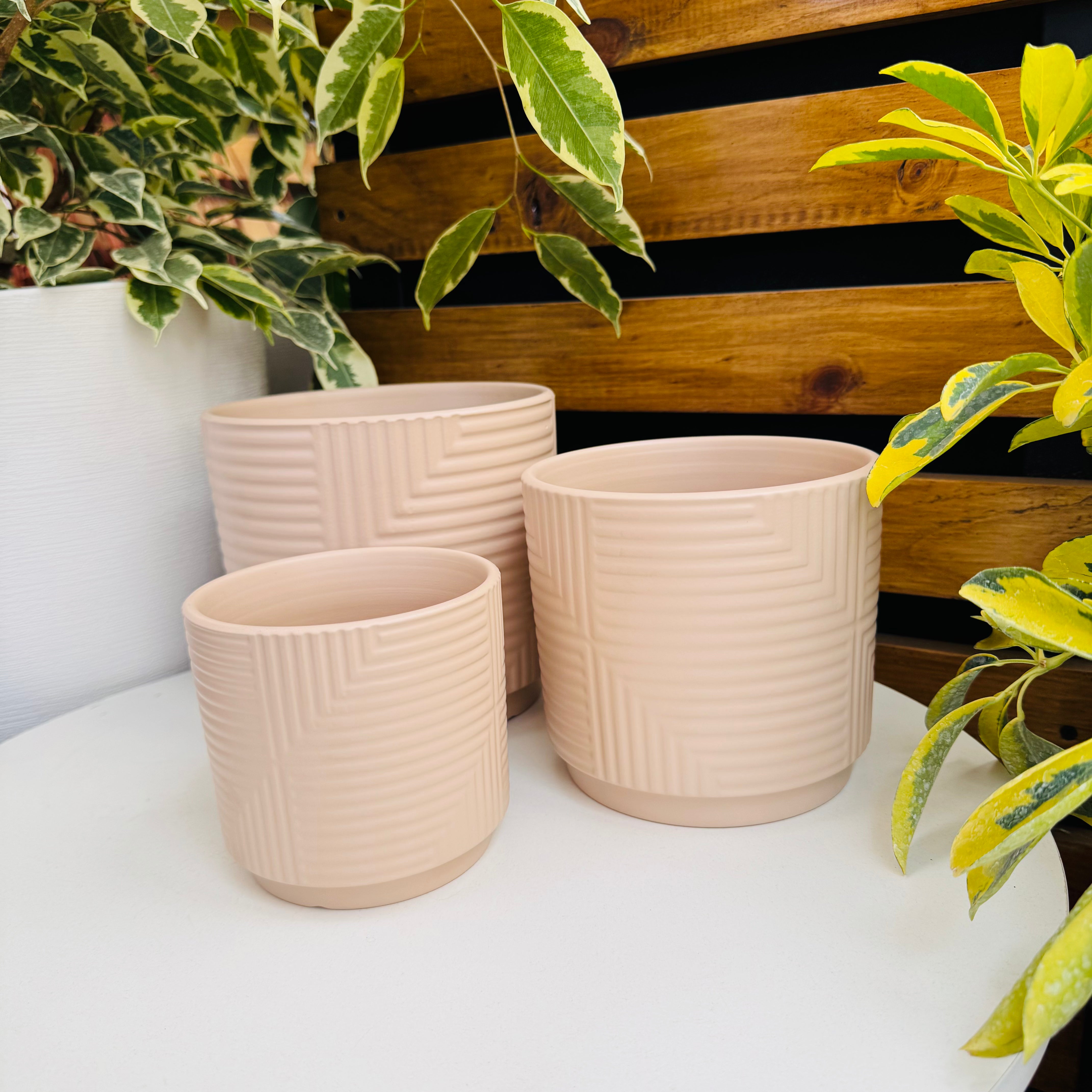 Vivero Mis Tesoros C Gloria