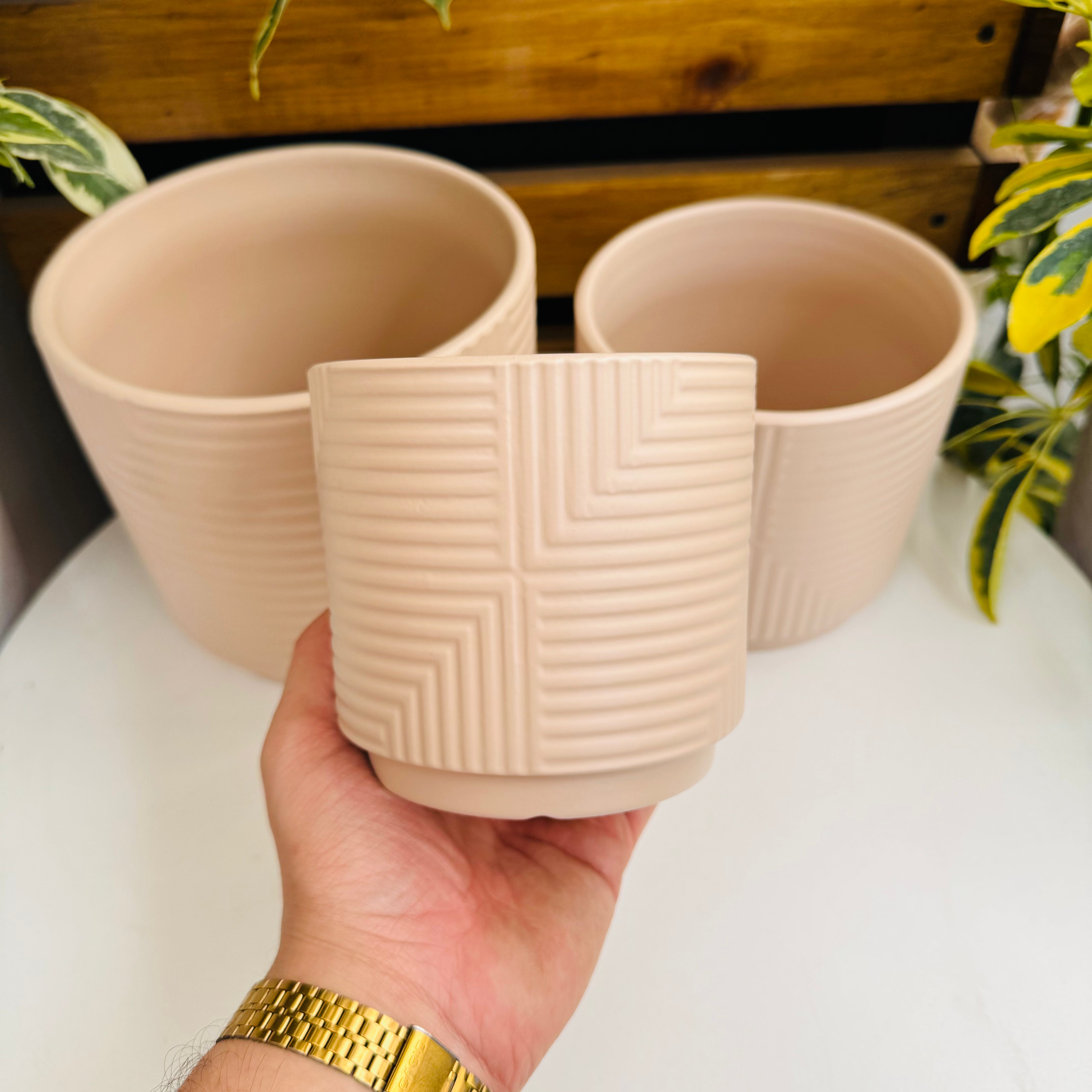 Vivero Mis Tesoros C Gloria