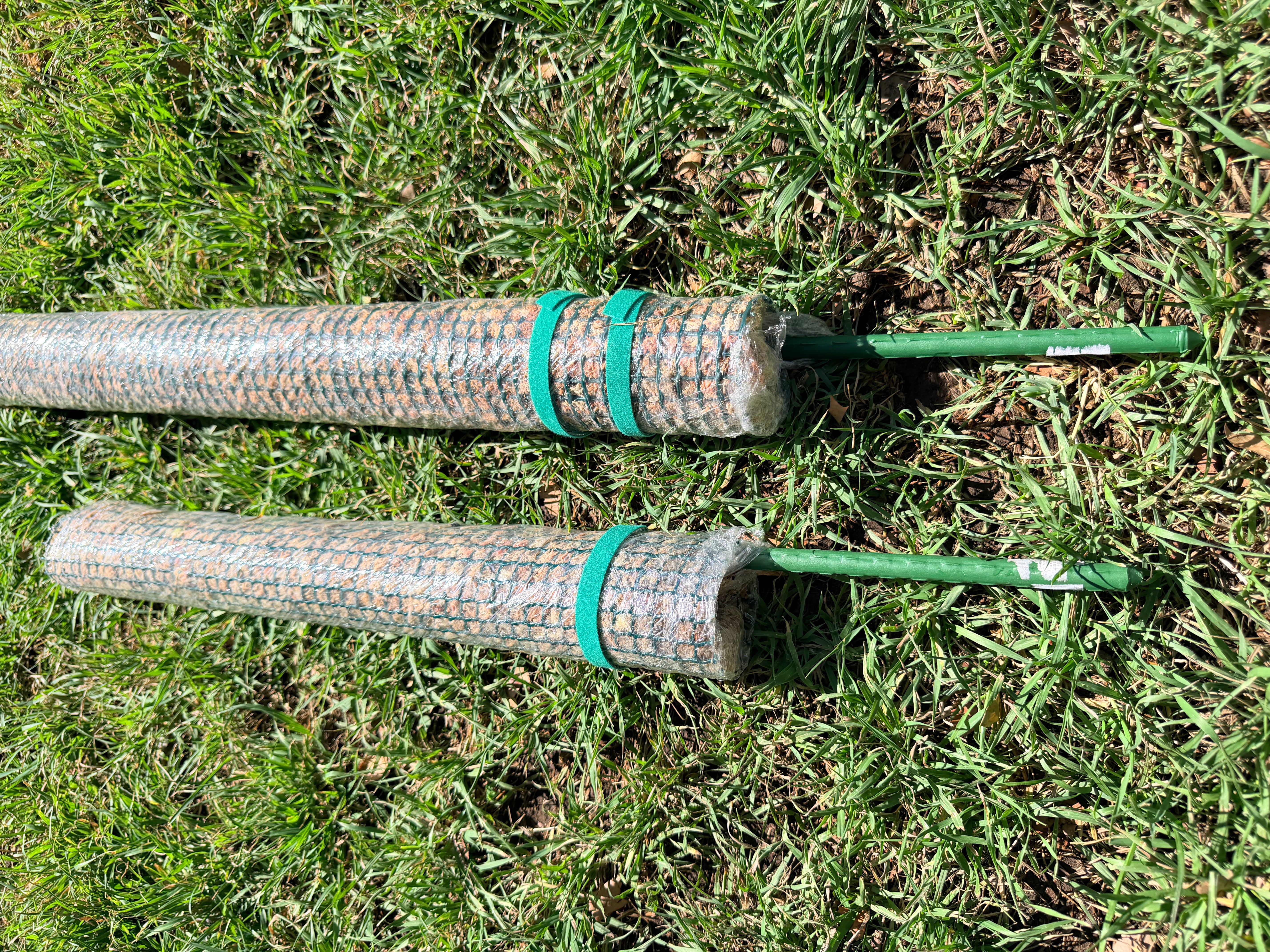 Tutor de musgo + guia + velcro