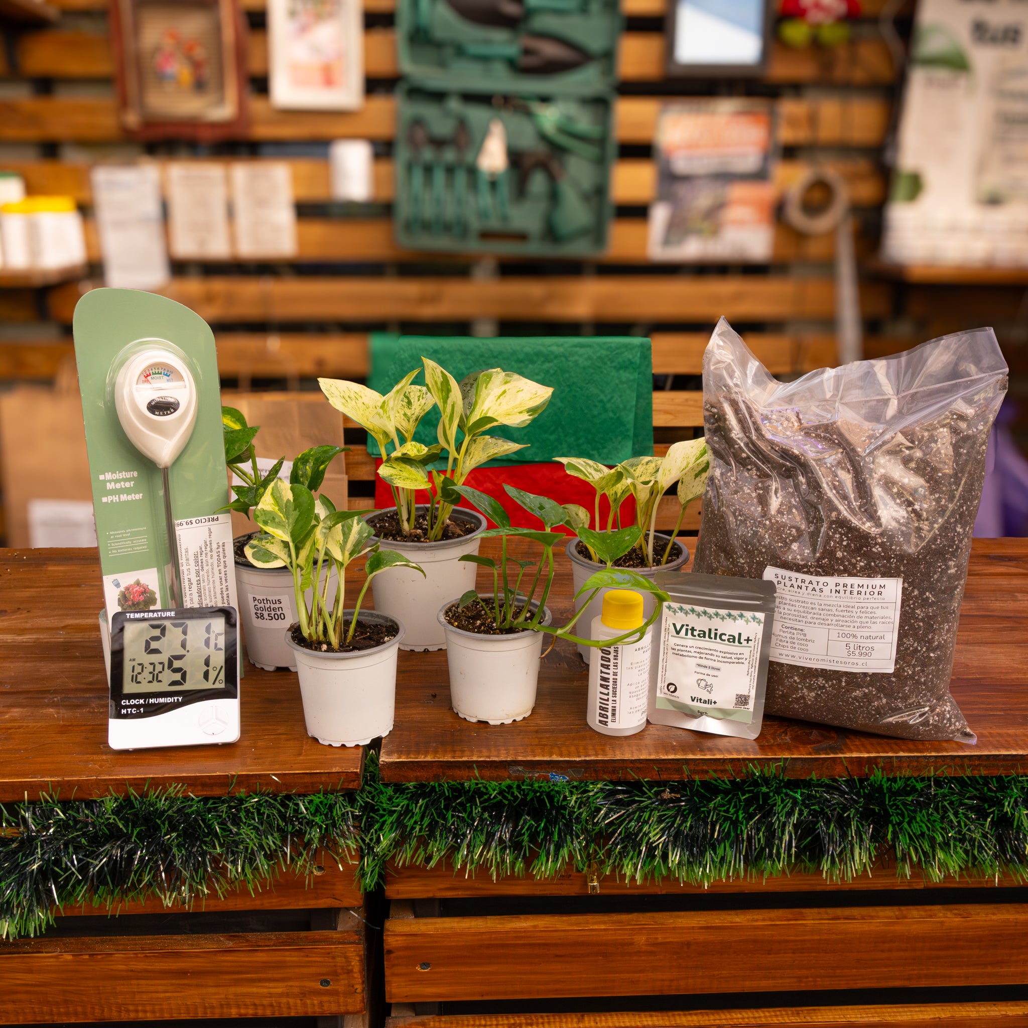 Vivero Mis Tesoros C Gloria