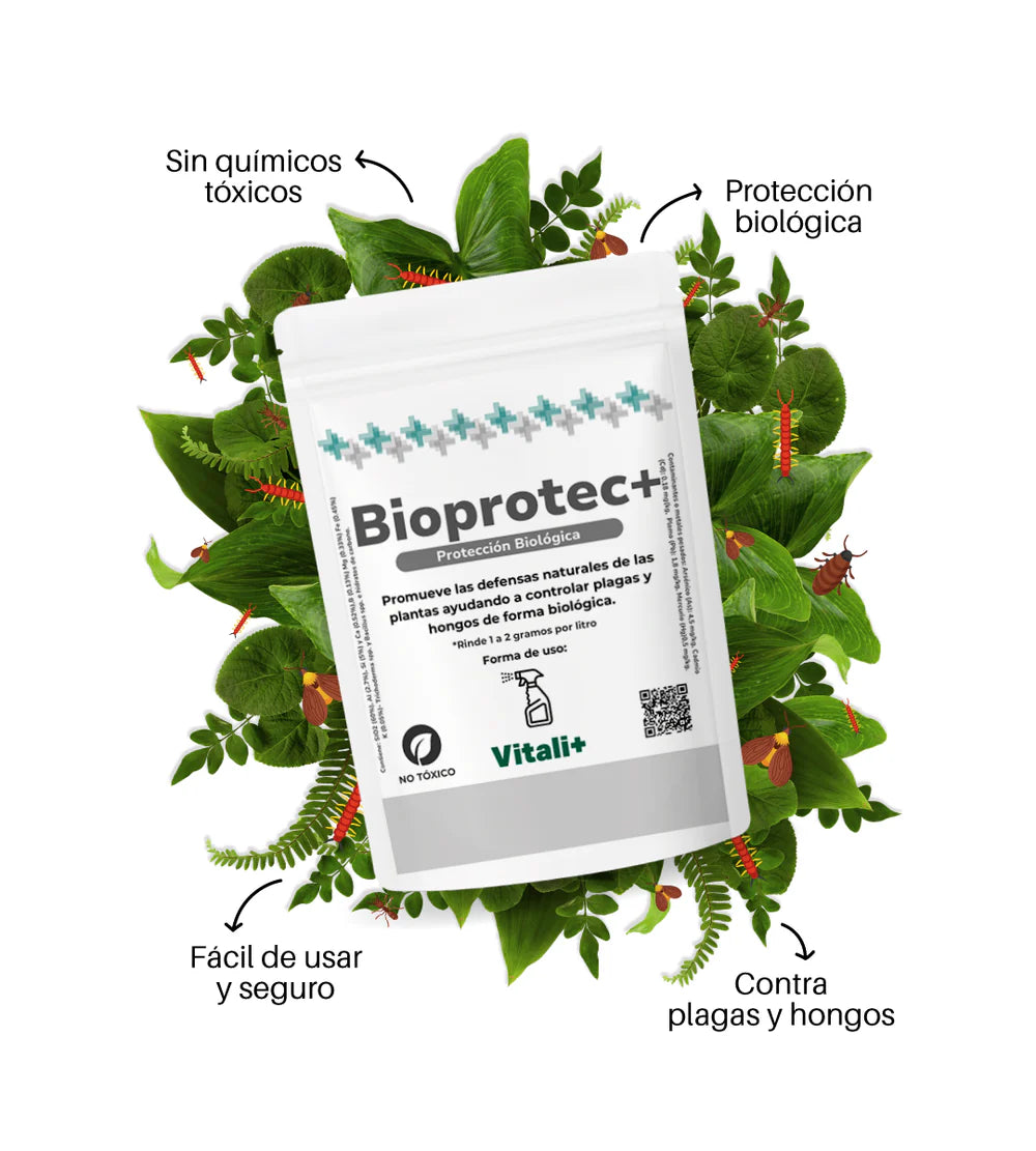 Vivero Mis Tesoros C Gloria