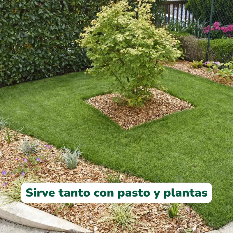 Pack Jardín Vitali+