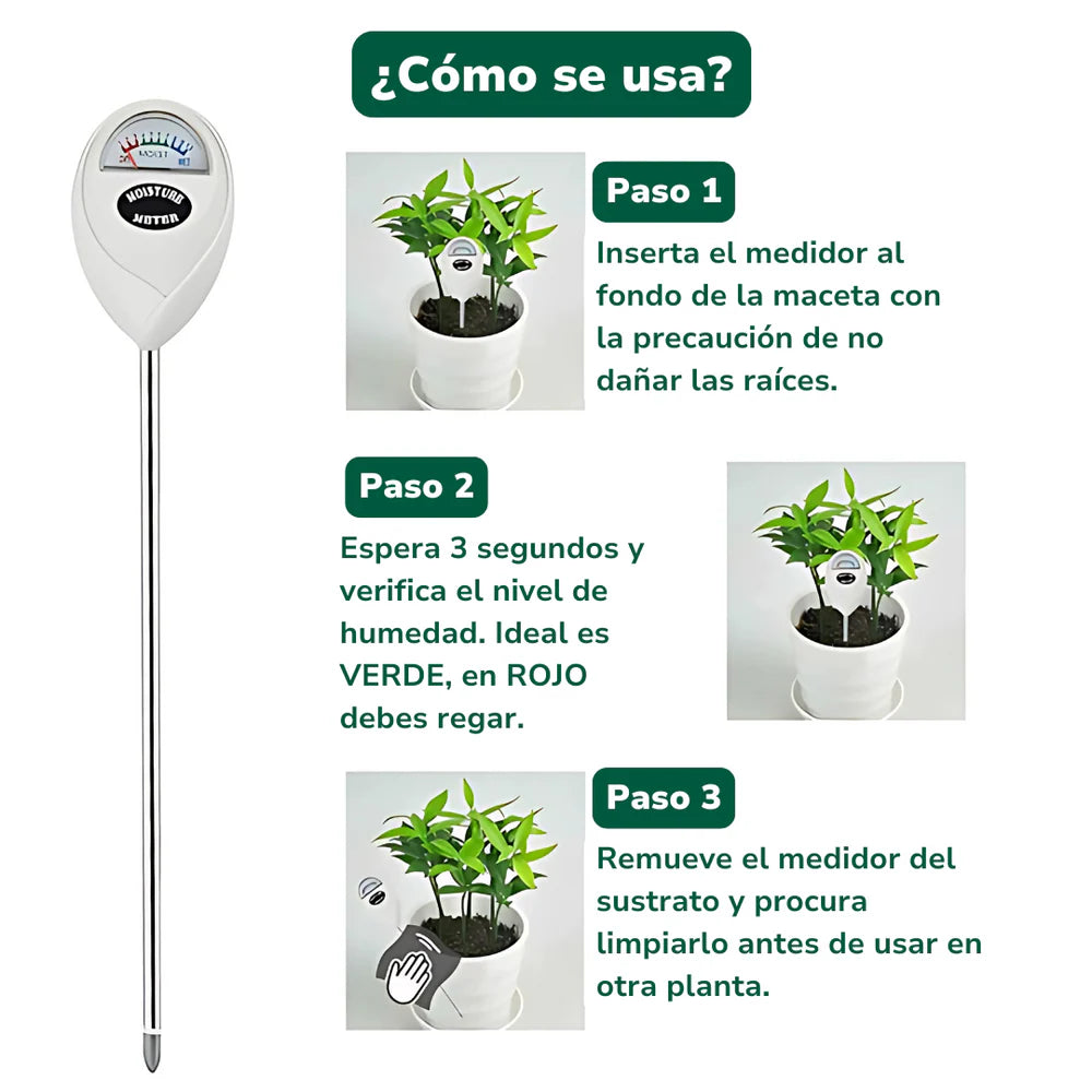 Vivero Mis Tesoros C Gloria