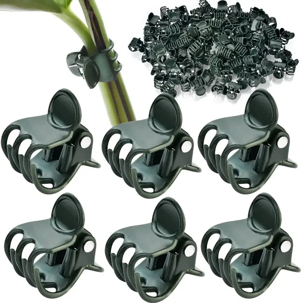 Pinches sujeta Plantas