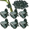 Pinches sujeta Plantas