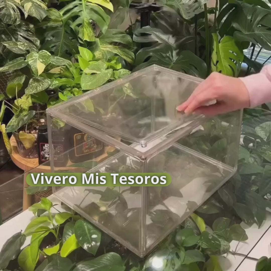 Vivero Mis Tesoros C Gloria