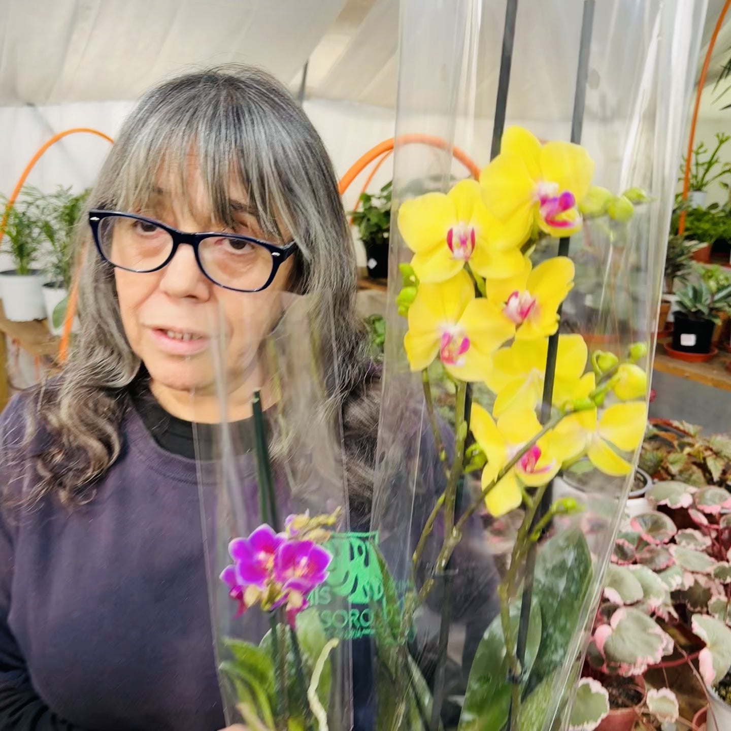 Vivero Mis Tesoros C Gloria