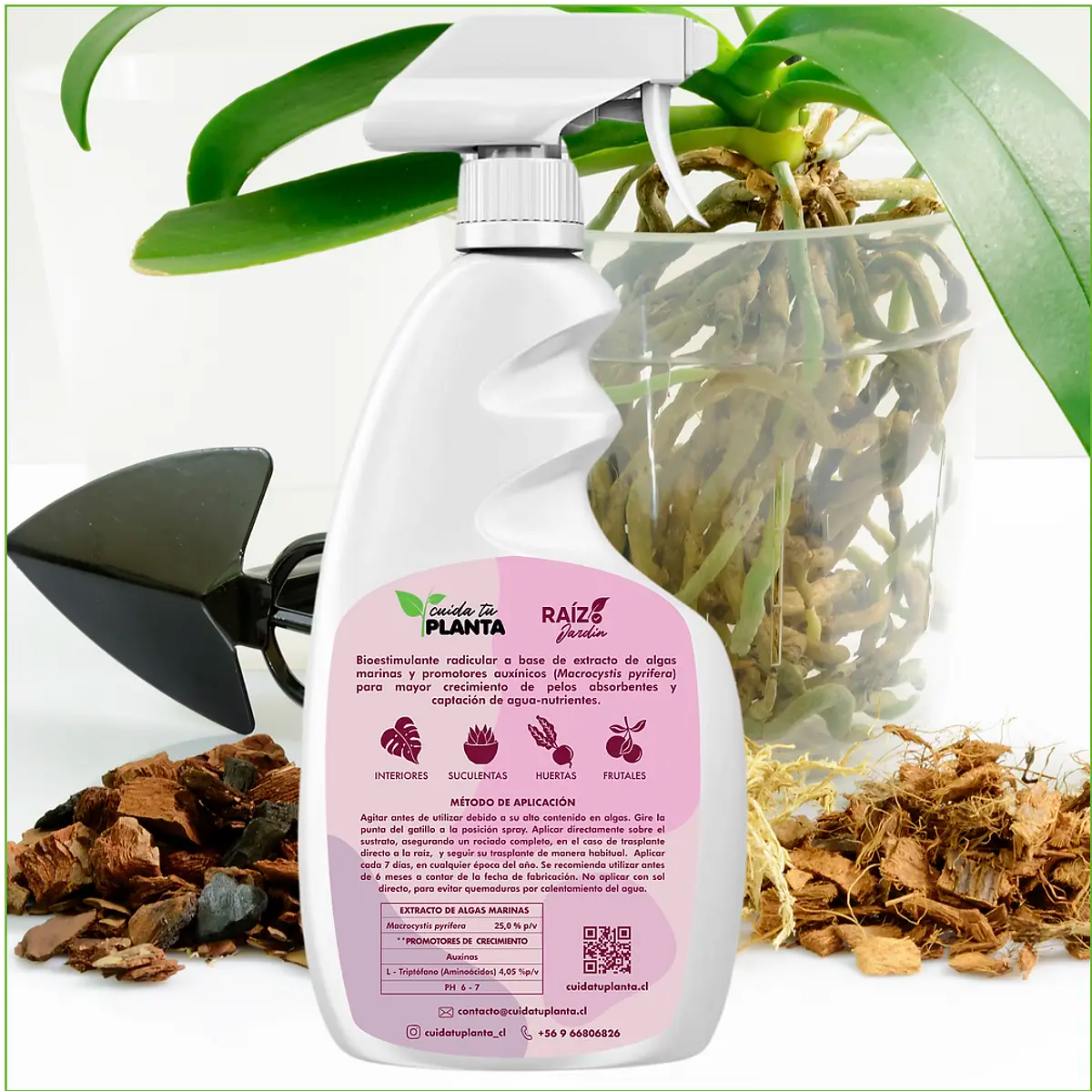 Enraizaste Raíz Jardín