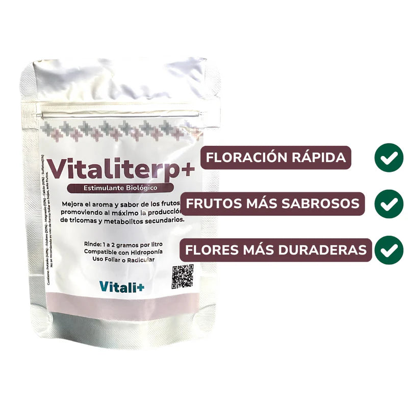 Vivero Mis Tesoros C Gloria