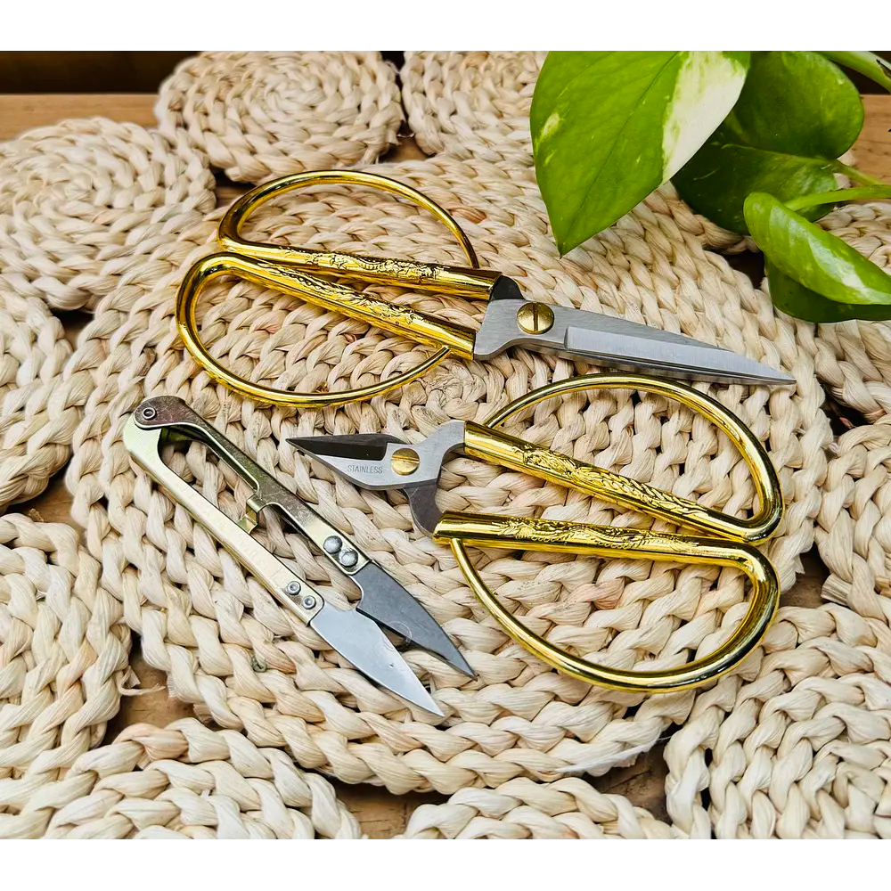 Vivero Mis Tesoros C Gloria
