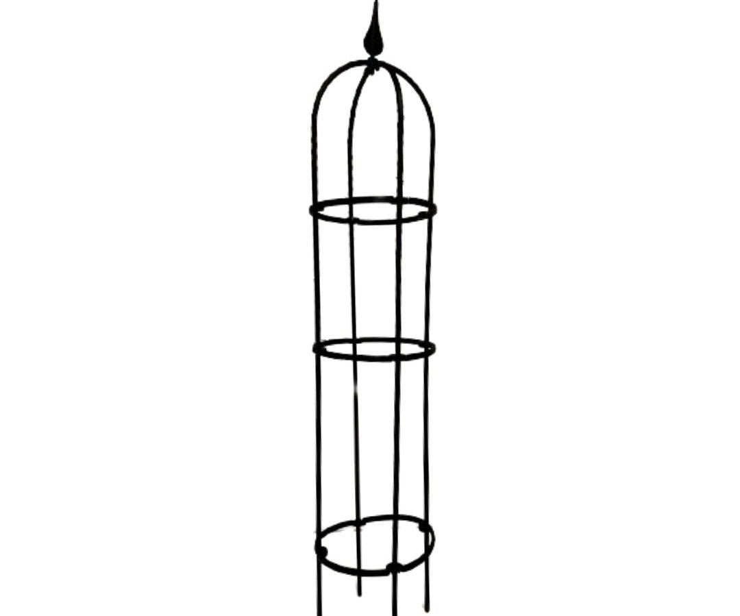 Pergolas para plantas trepadoras M